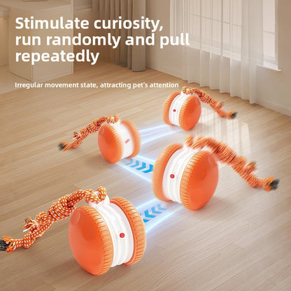 Automatic Pet Ball Launcher with Sound Effects