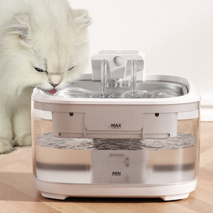 cat water fountain