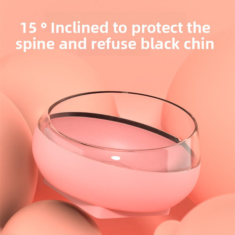 Double Bowl Cat Food and Water Dish